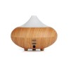 Diffuseur huile essentielle Aroma'thilde
