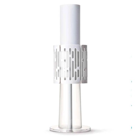 Ionflow Evolution