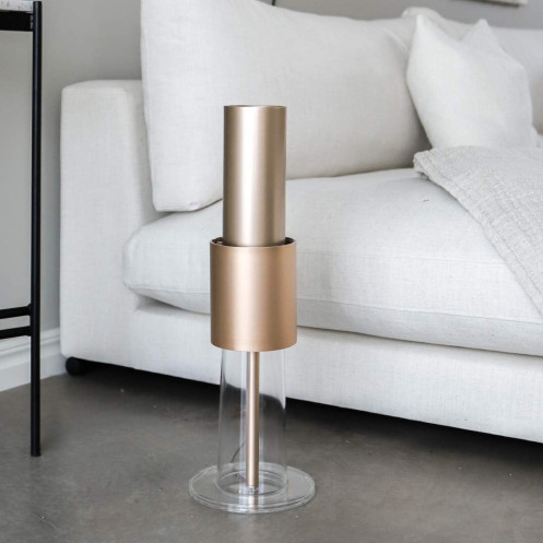 Ioniseur IonFlow Evolution V2