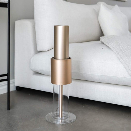 Ioniseur IonFlow Evolution V2
