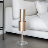 Ioniseur IonFlow Evolution V2